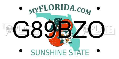 G89BZO Florida License Plate