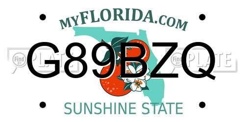 G89BZQ Florida License Plate
