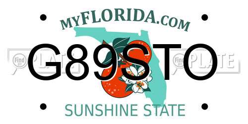 G89STO Florida License Plate