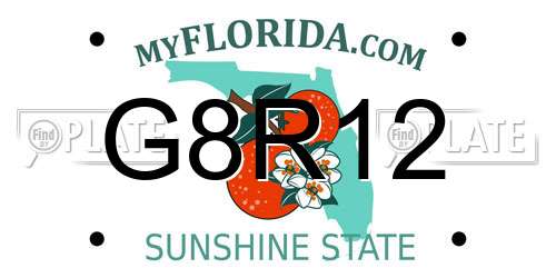 G8R12 Florida License Plate