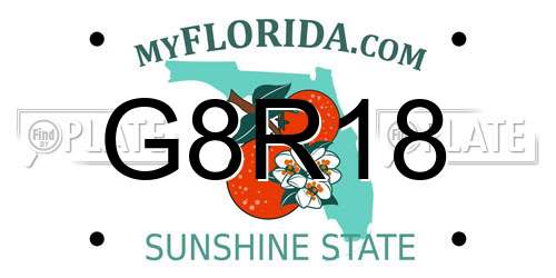 G8R18 Florida License Plate