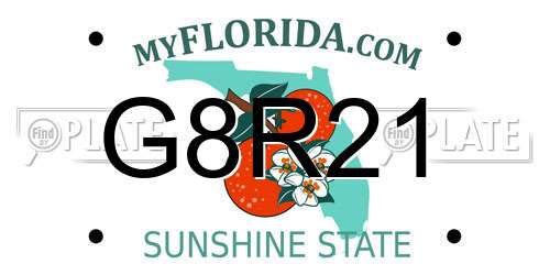 G8R21 Florida License Plate