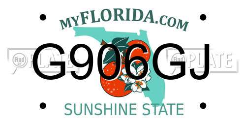 G906GJ Florida License Plate