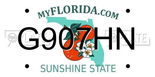 G907HN Florida License Plate