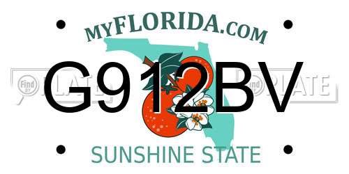 G912BV Florida License Plate