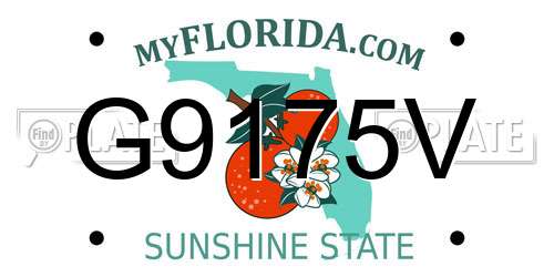 G9175V Florida License Plate