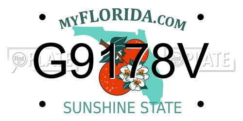 G9178V Florida License Plate