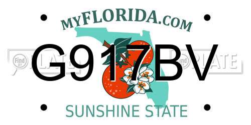 G917BV Florida License Plate