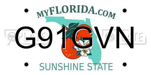 G91GVN Florida License Plate