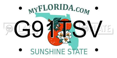 G91TSV Florida License Plate