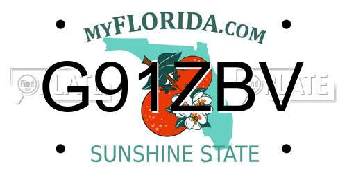 G91ZBV Florida License Plate
