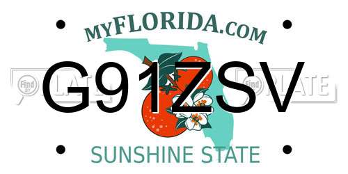 G91ZSV Florida License Plate