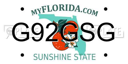 G92GSG Florida License Plate