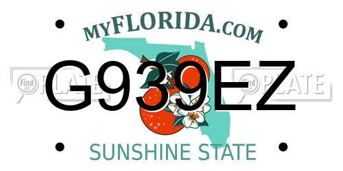 G939EZ Florida License Plate