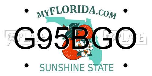G95BGO Florida License Plate