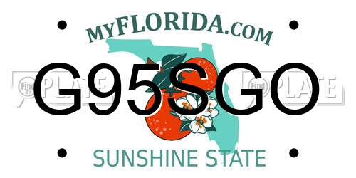 G95SGO Florida License Plate