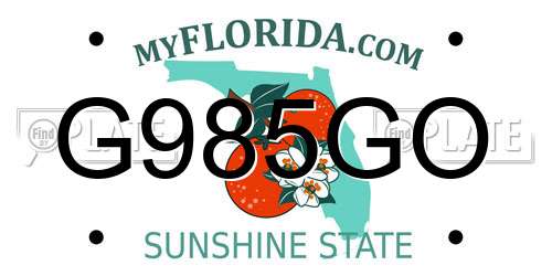 G985GO Florida License Plate