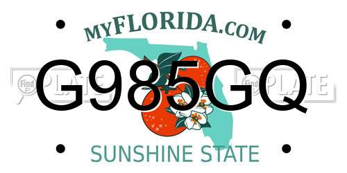 G985GQ Florida License Plate