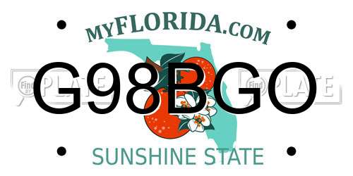 G98BGO Florida License Plate