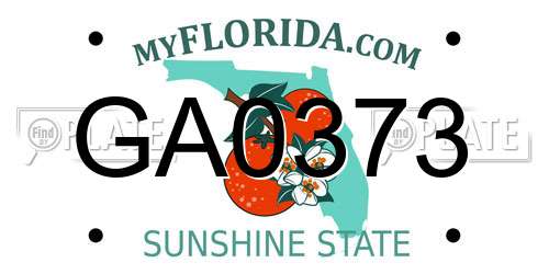 GA0373 Florida License Plate