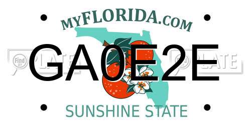 GA0E2E Florida License Plate