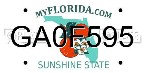GA0F595 Florida License Plate
