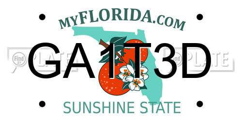 GA1T3D Florida License Plate