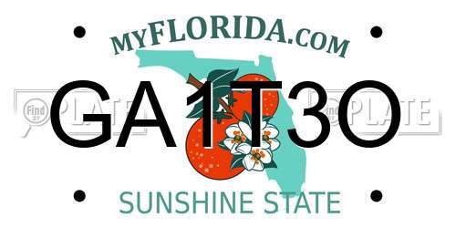 GA1T3O Florida License Plate