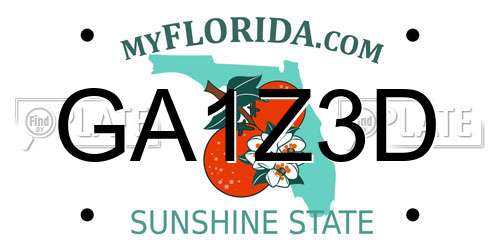 GA1Z3D Florida License Plate