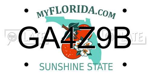 GA4Z9B Florida License Plate
