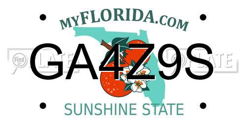 GA4Z9S Florida License Plate
