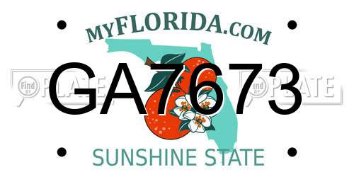 GA7673 Florida License Plate