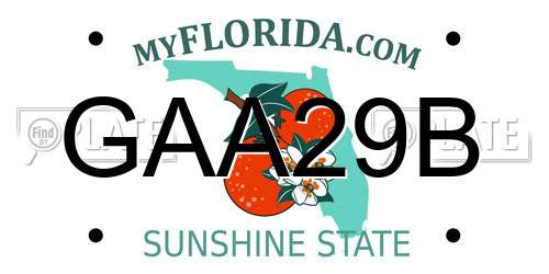 GAA29B Florida License Plate