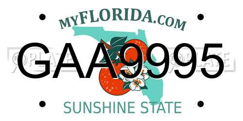 GAA9995 Florida License Plate