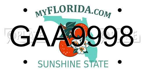 GAA9998 Florida License Plate