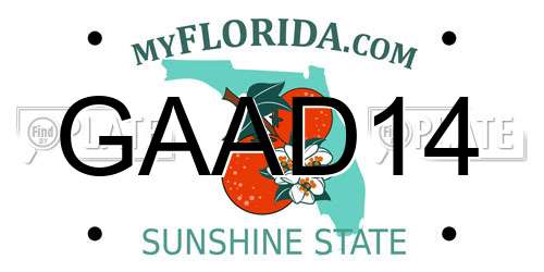 GAAD14 Florida License Plate