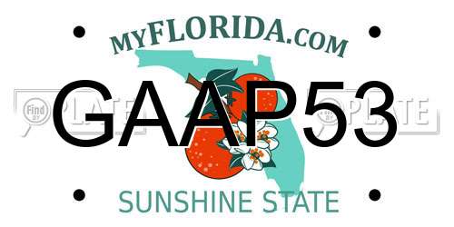 GAAP53 Florida License Plate