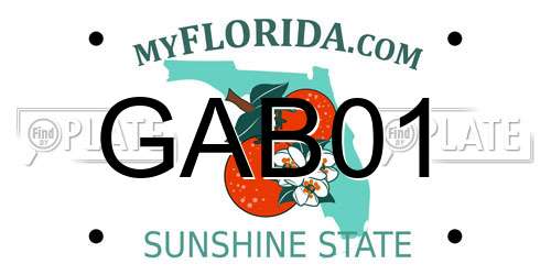 GAB01 Florida License Plate