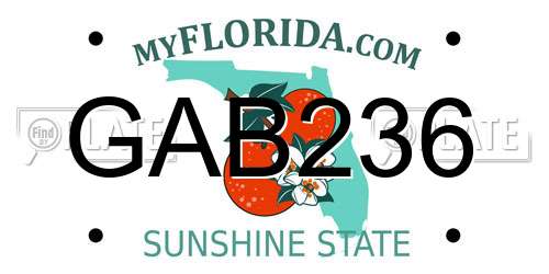 GAB236 Florida License Plate