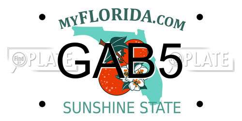 GAB5 Florida License Plate