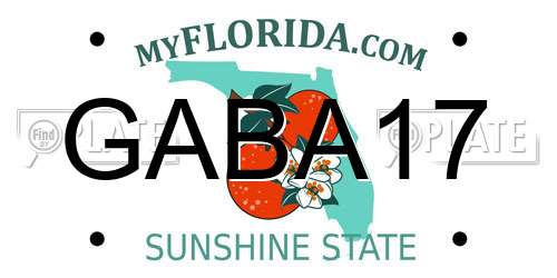 GABA17 Florida License Plate