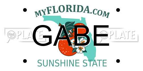 GABE Florida License Plate
