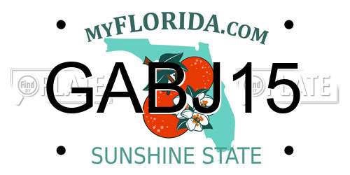 GABJ15 Florida License Plate