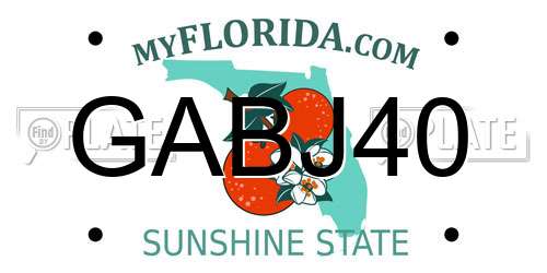 GABJ40 Florida License Plate
