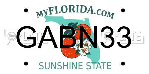 GABN33 Florida License Plate