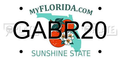 GABR20 Florida License Plate