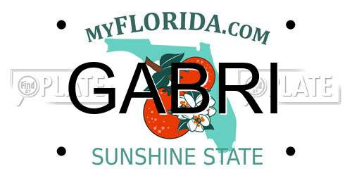 GABRI Florida License Plate