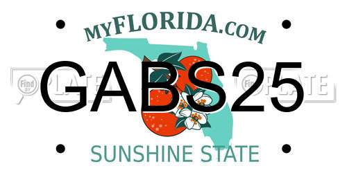 GABS25 Florida License Plate
