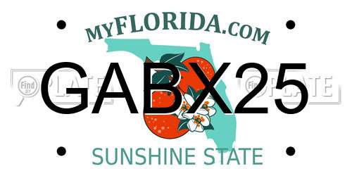 GABX25 Florida License Plate