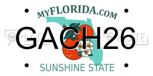 GACH26 Florida License Plate